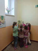 IMG20250328173035.jpg